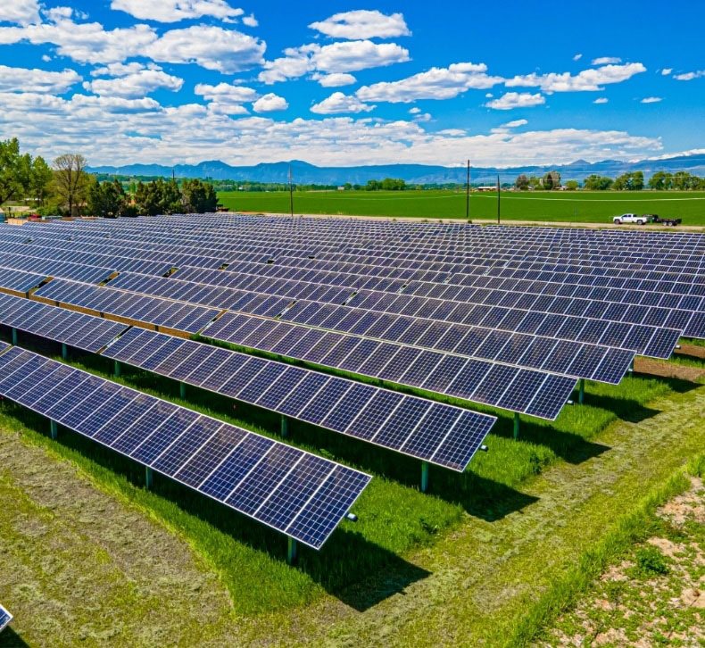 solar panel garden in grassy field