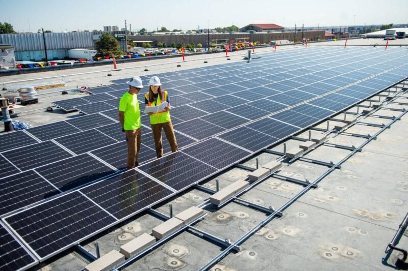 two workers with hardhats standing amongst rows of solar panels